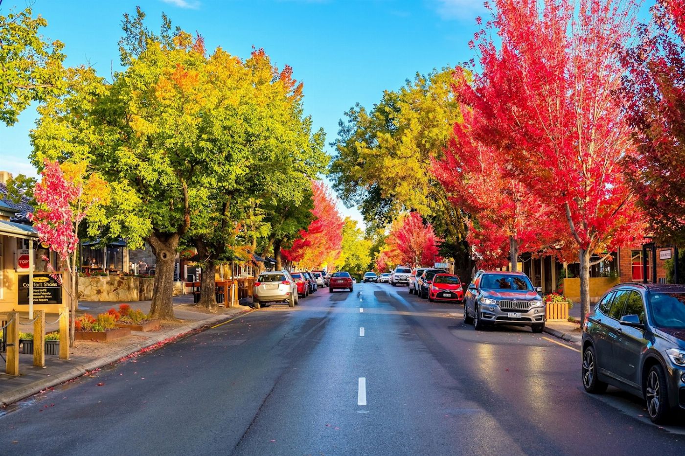 Bike About A Taste of Hahndorf' Gourmet Food & Wine E-Bike Tour (Including Transfers)