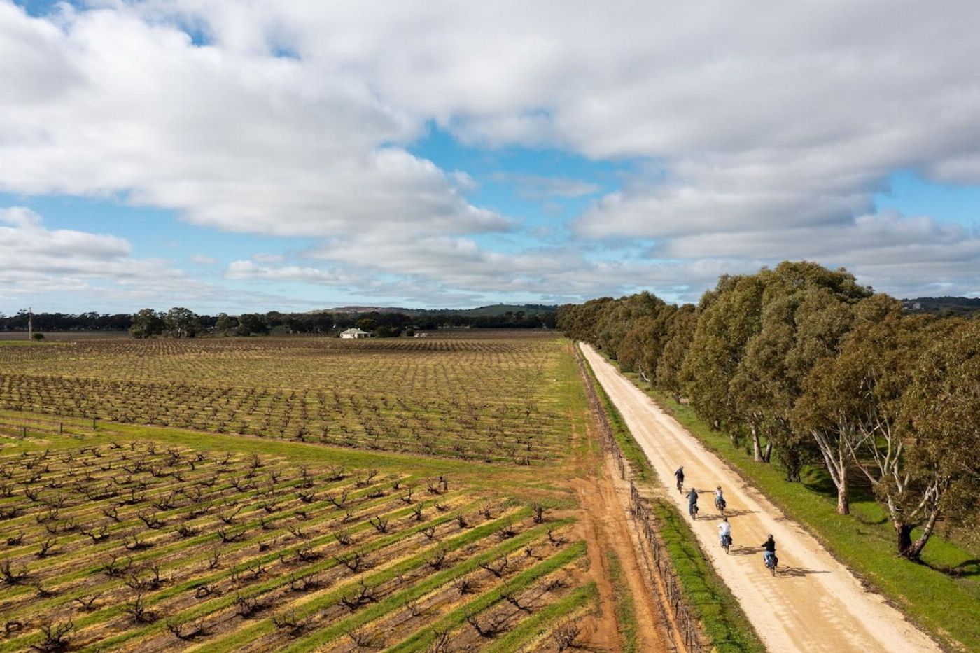 Bike About Experience Barossa' Gourmet Food & Wine E-bike Tour (Including Transfers)