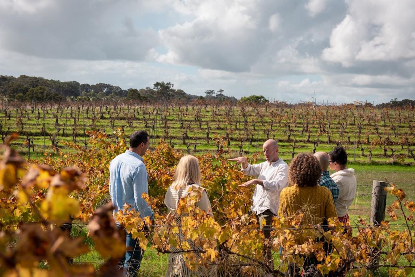 All About Margaret River Hidden Gems Day Tour - Wine, Scones, Local Produce and Nature Tour