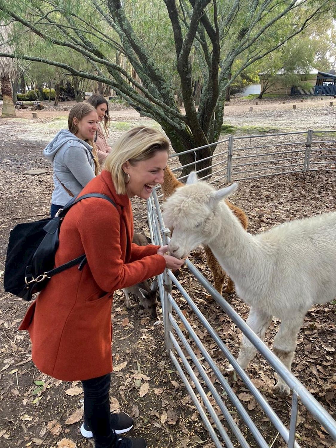 All About Margaret River Hidden Gems Day Tour - Wine, Scones, Local Produce and Nature Tour
