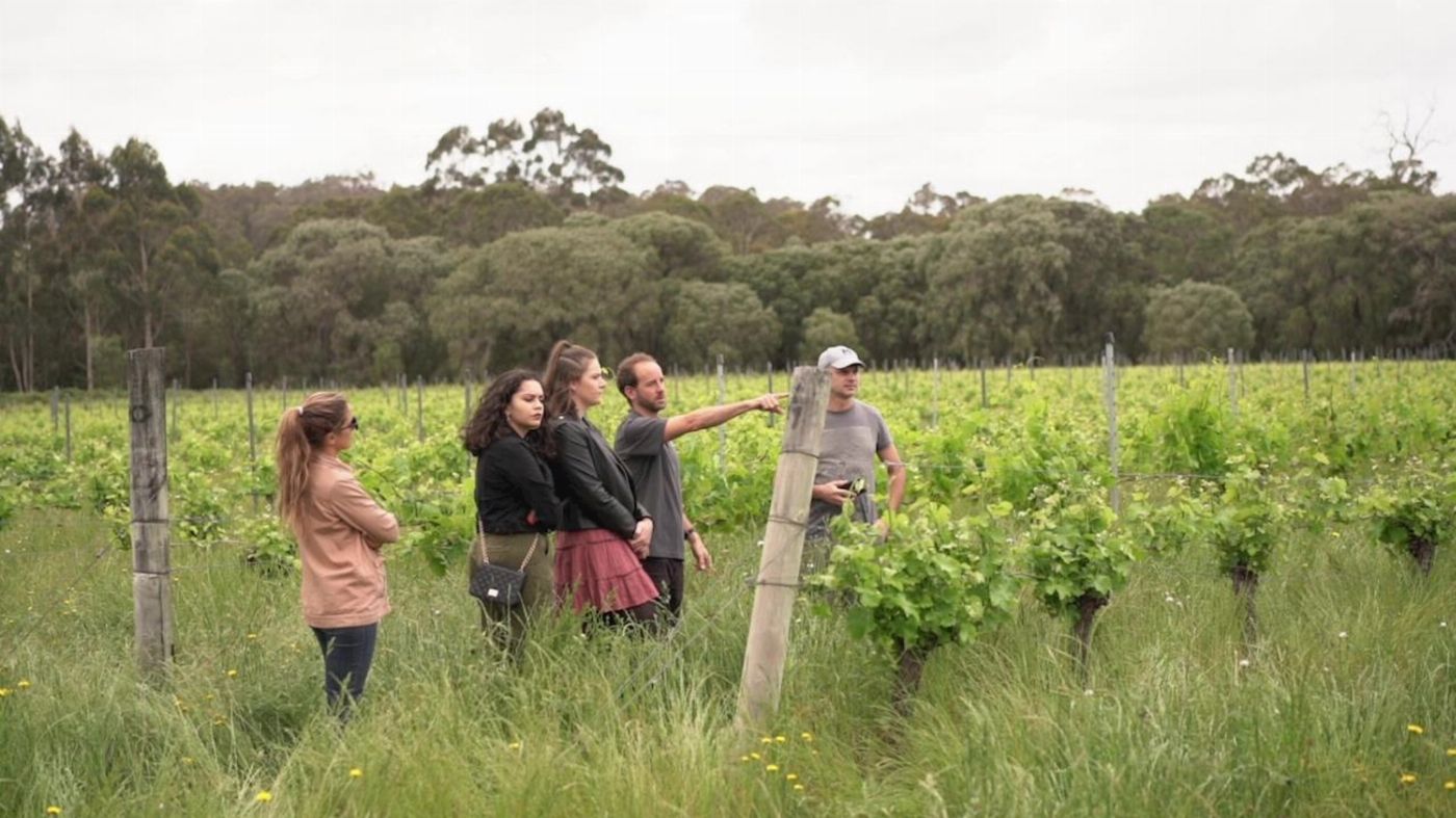 All About Margaret River Secret Delights: Wine, Coffee, Artisan and Forest Tour