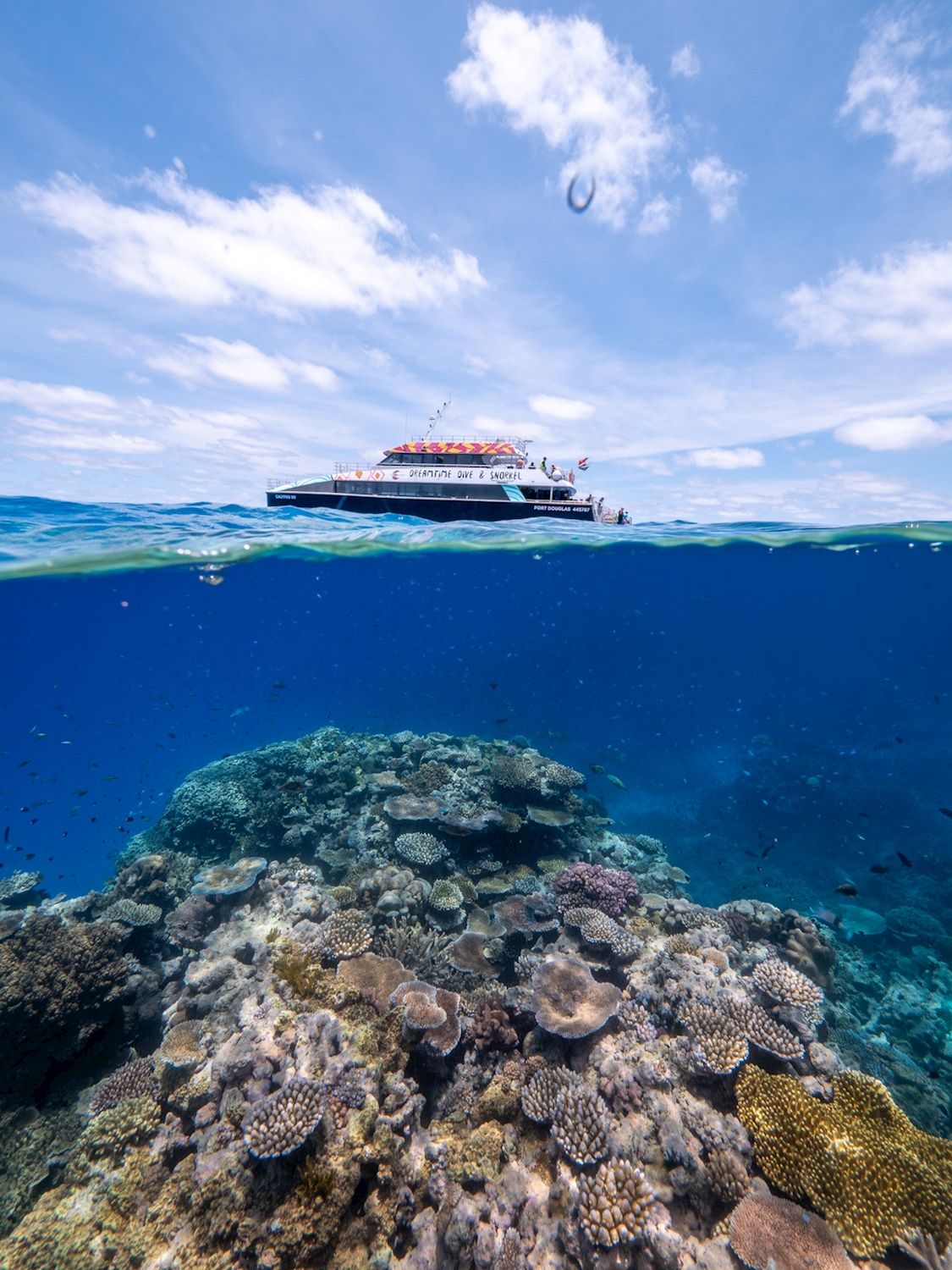 Dreamtime Dive & Snorkel Dreamtime Snorkel + Fitzroy Island Tour / 2 Day package