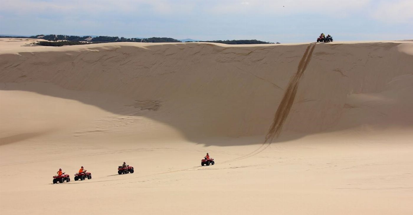 Sand Dune Adventures 1 Hour Quad Bike Adventure Tour (1 adult & 1 child)