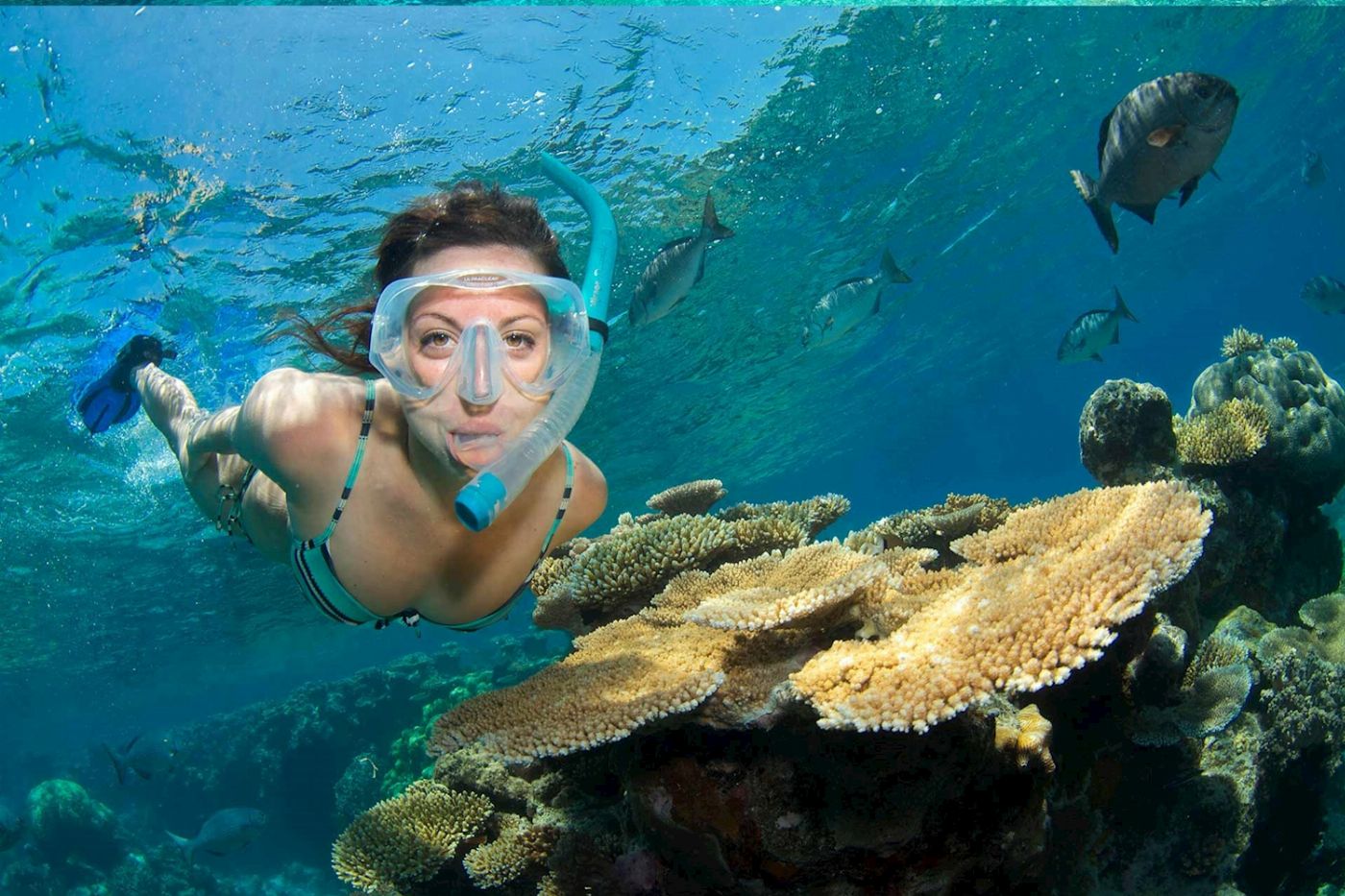 Divers Den AquaQuest Snorkel Special