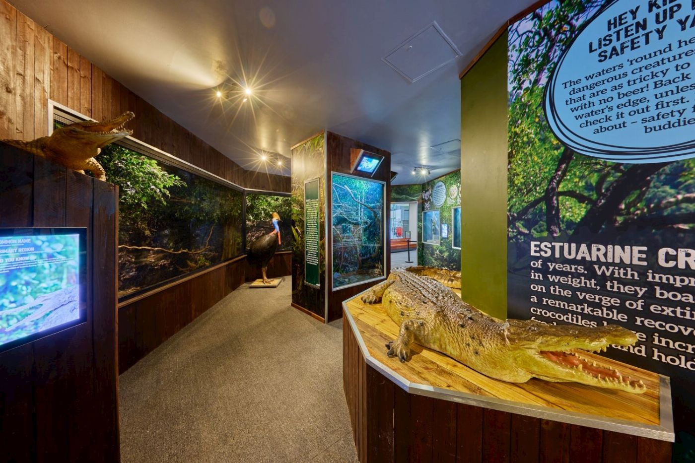 Cairns Koalas & Creatures - Admission