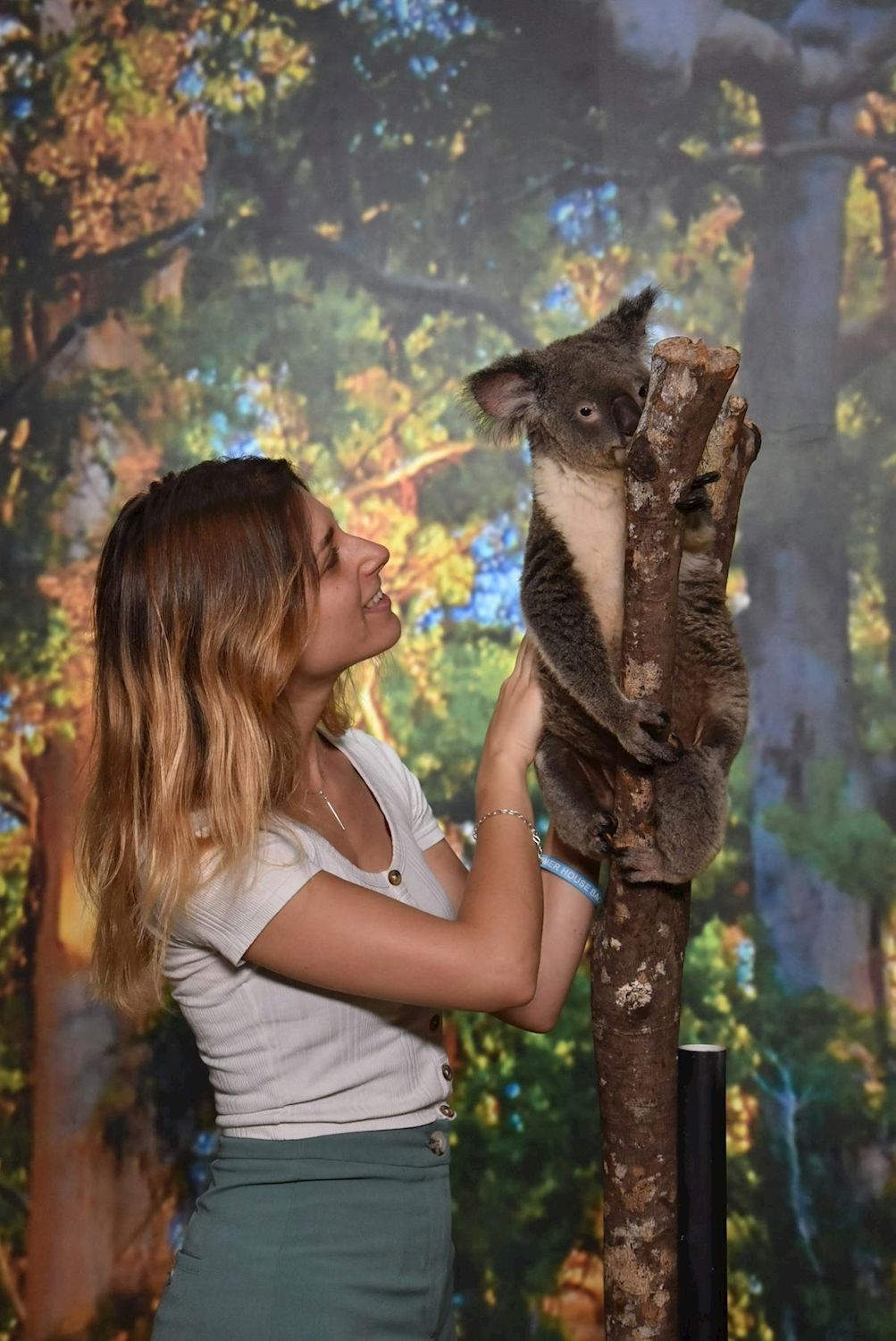Cairns Koalas & Creatures - Admission + Standard Holding Koala Photo (6”x9”)