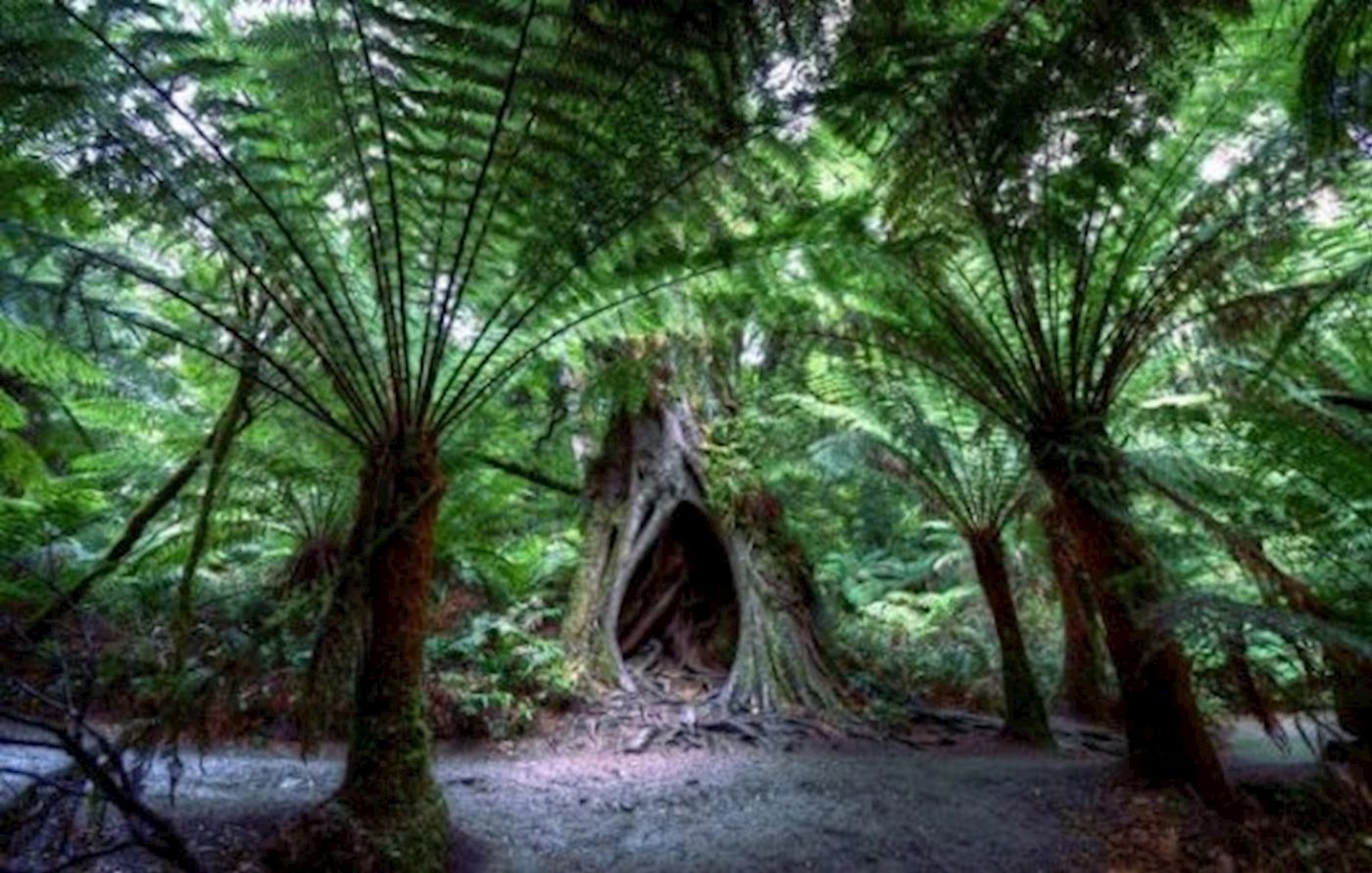 Culture Quest Tours Private Great Ocean Road tour