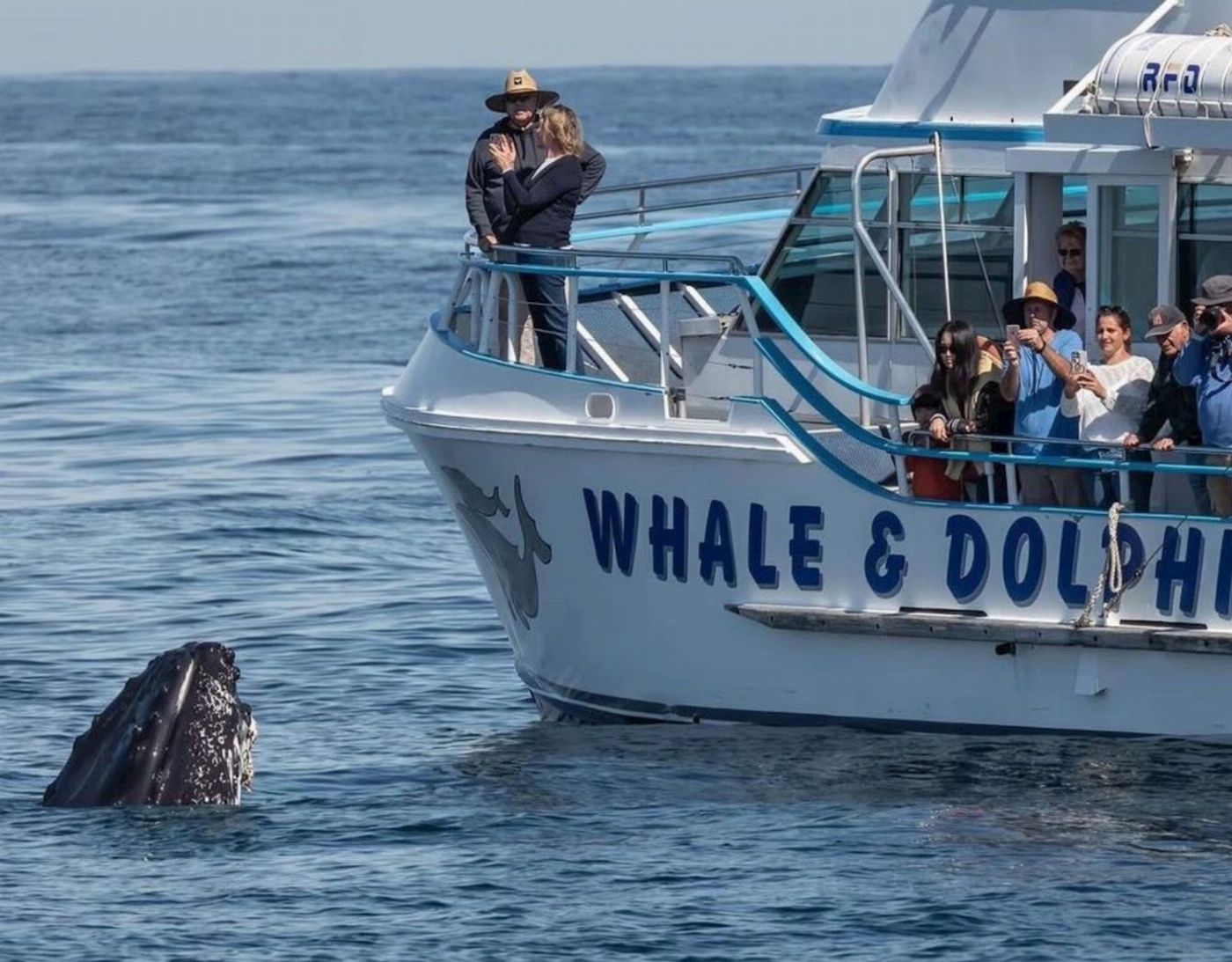 Newy Tour Co Port Stephens, departing Newcastle - Whales, hike & sand dunes!