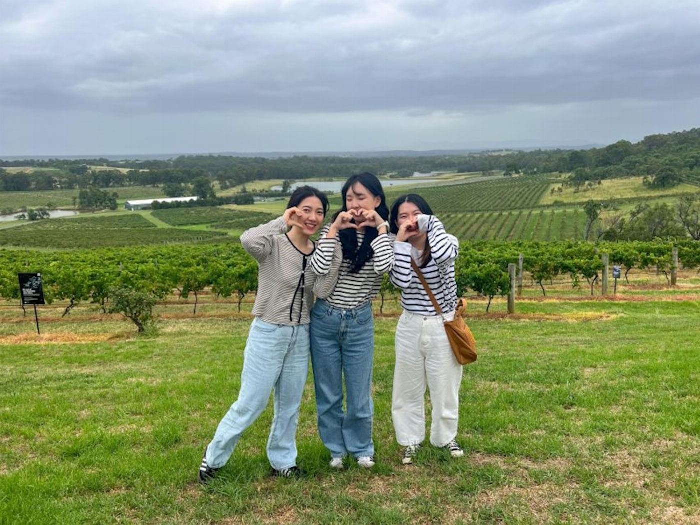 Newy Tour Co Boutique Hunter Valley Wine Tour Departing from Newcastle