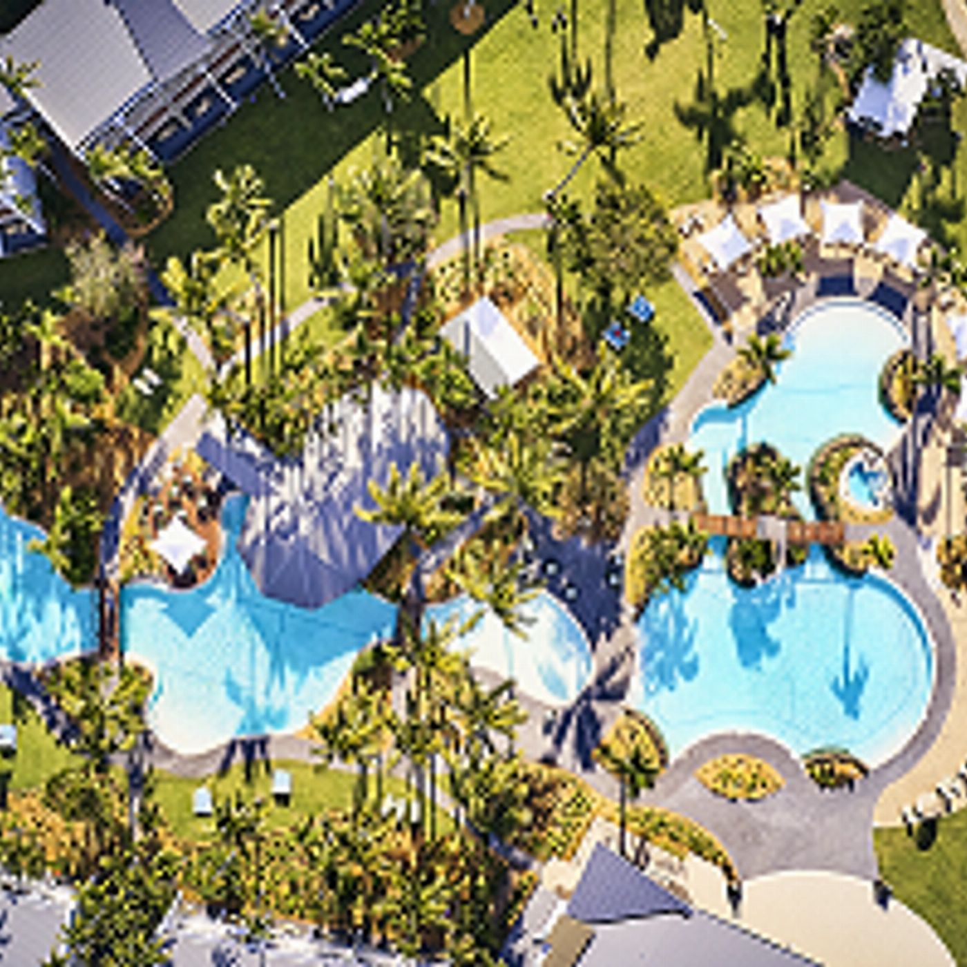 Cruise Whitsundays Daydream Island Escape - Full Day with 2 Course Salti Lunch