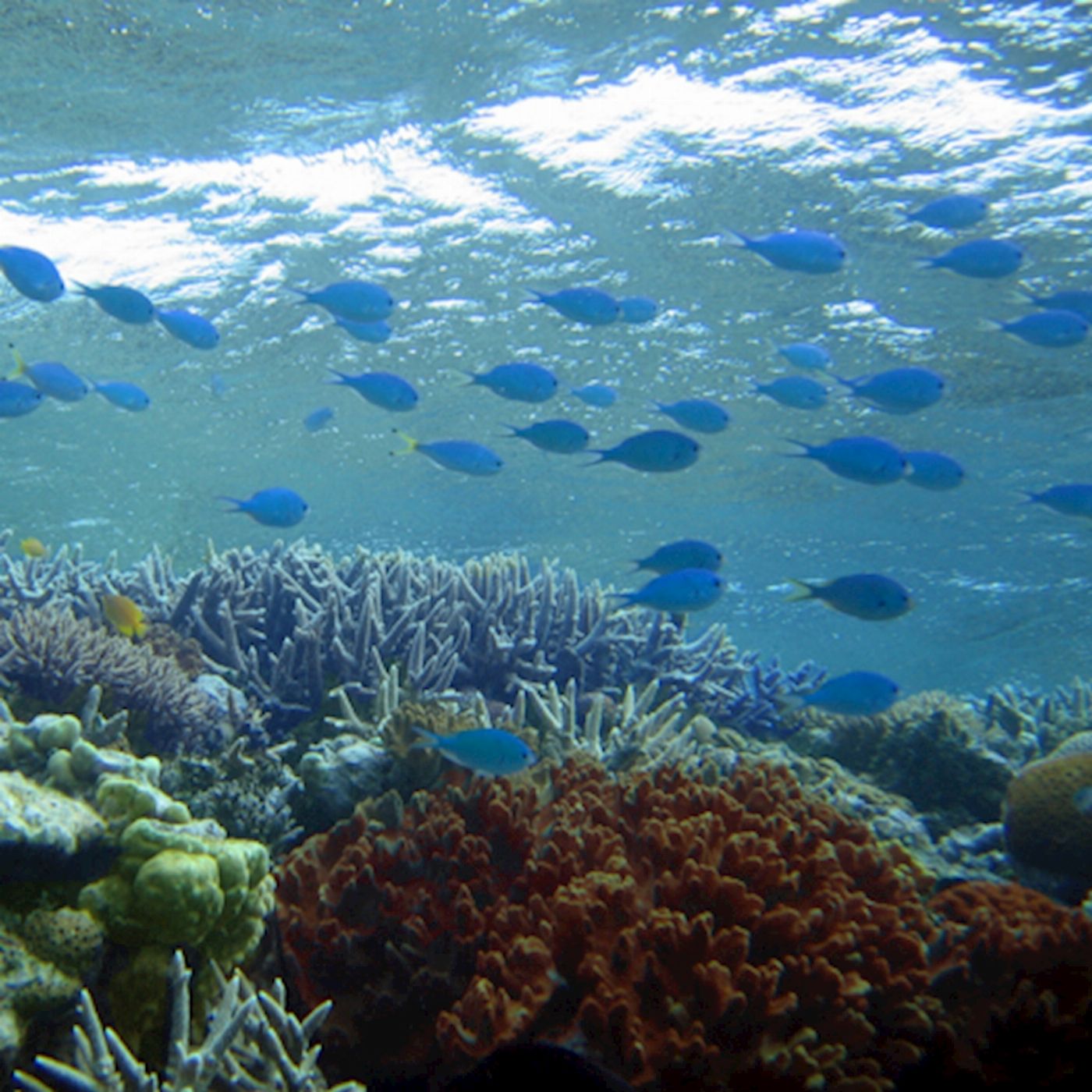 Explore Group Australia 09:00am UVA Island Explorer