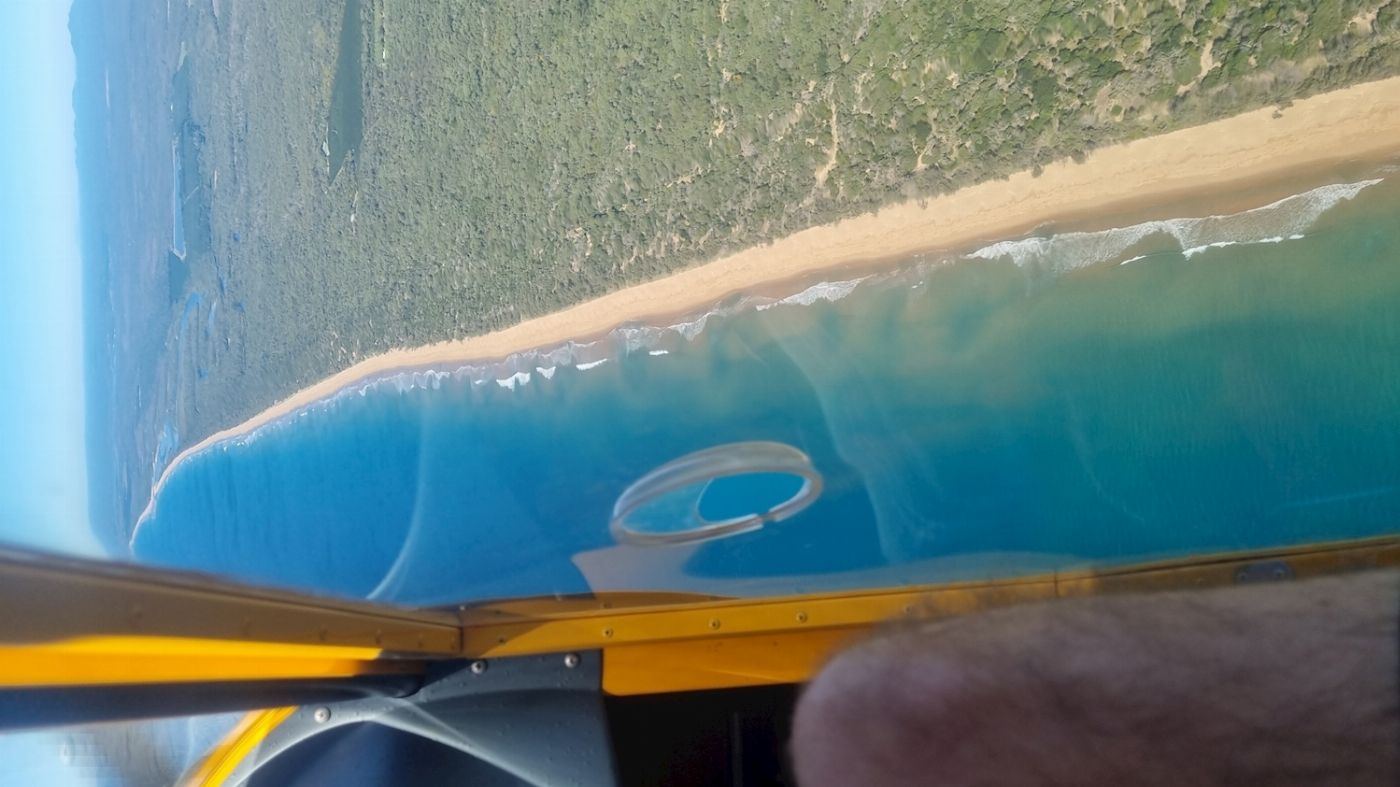 Cool Bananas Fly, Surf and Eat at 1770