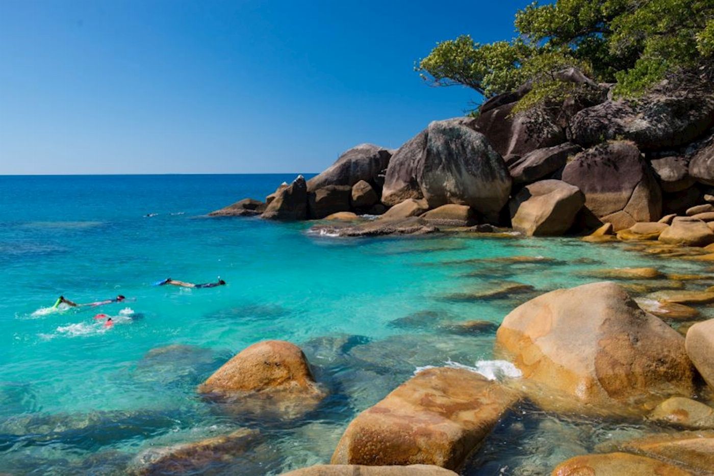 Sunlover Reef Cruises Fitzroy "Island Essentials": Boat Transfers +1 selection of: Glass bottom boat OR snorkeling equipment