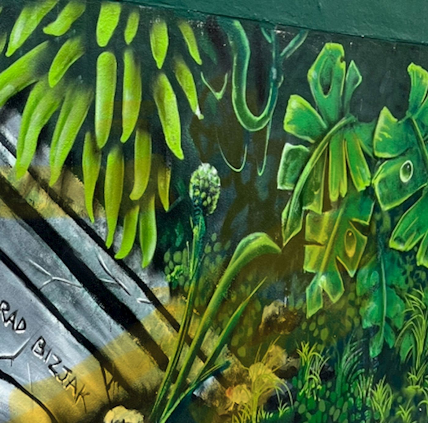 Hidden Secrets Tours Art in the Streets