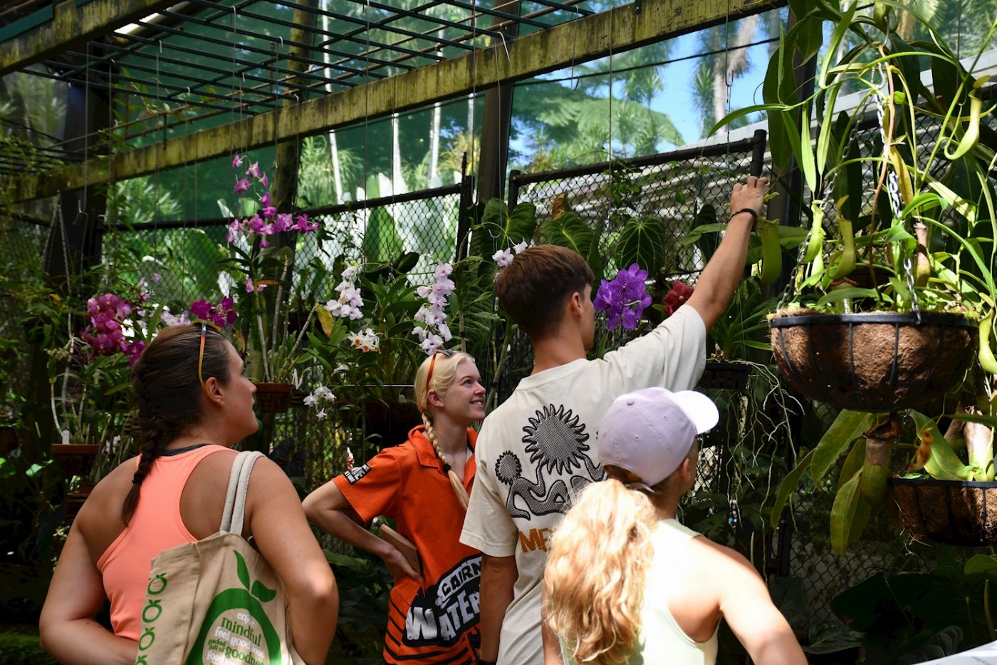 Cairns Canyoning Explorer Tour - Waterfall and Rainforest siteseeing