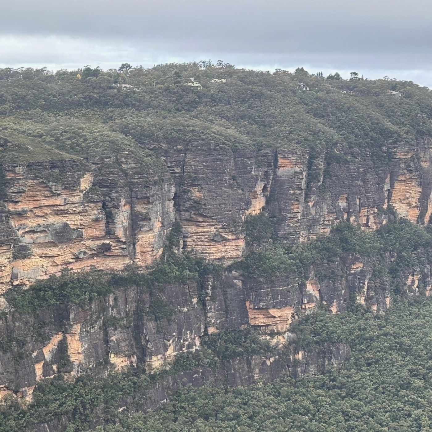 Wine Hop And Coastal Tours Blue Mountains Adventure Tour inc Scenic World, Harbour Ferry Cruise, Waterfalls and Sydney Zoo with FREE up-close Koala Digital Photo