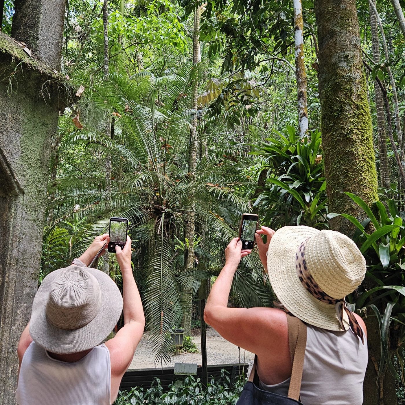 Northern Experience Eco Tours Premium Tablelands, Waterfalls & Paronella Park Rainforest Day Tour - From Cairns