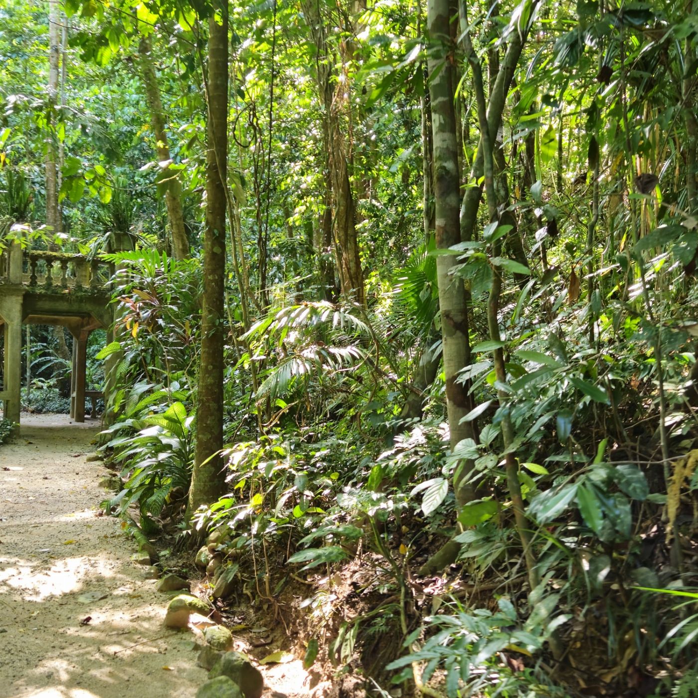 Northern Experience Eco Tours Premium Tablelands, Waterfalls & Paronella Park Rainforest Day Tour - From Cairns