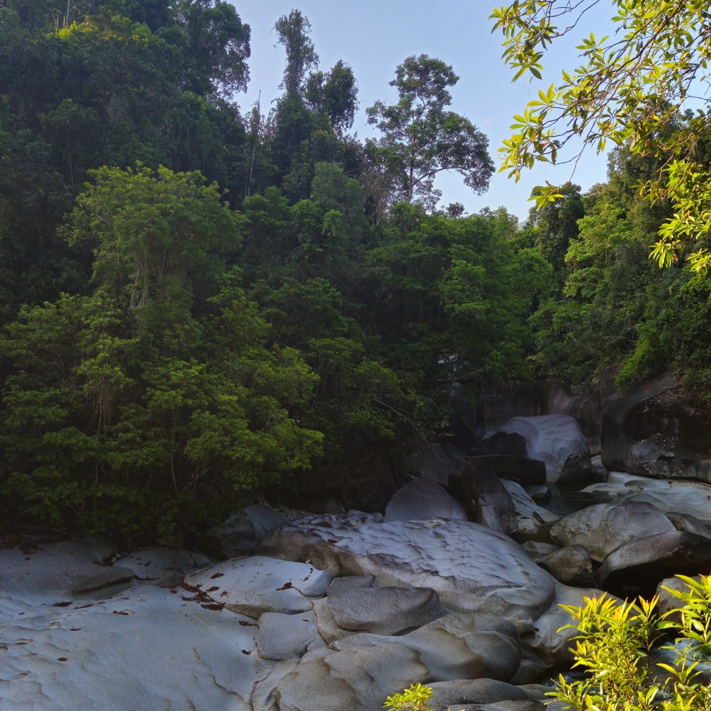 Northern Experience Eco Tours Premium Tablelands, Waterfalls & Paronella Park Rainforest Day Tour - From Cairns