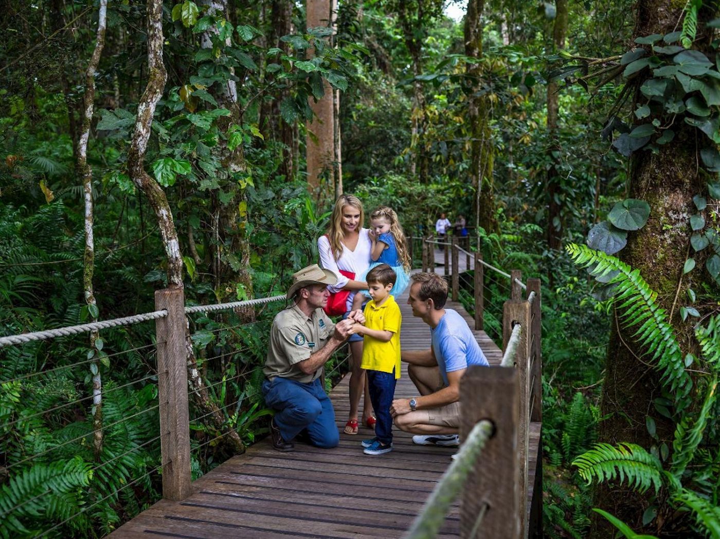 Down Under Tours Kuranda, Scenic Railway (09:50am), Skyrail (3:45pm) incl. Return Cairns Transfers
