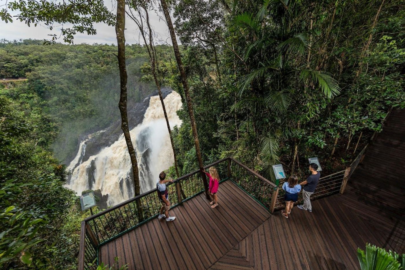 Down Under Tours Kuranda, Skyrail (11:00am) and Scenic Rail (2:00pm) incl. Return Cairns Transfers
