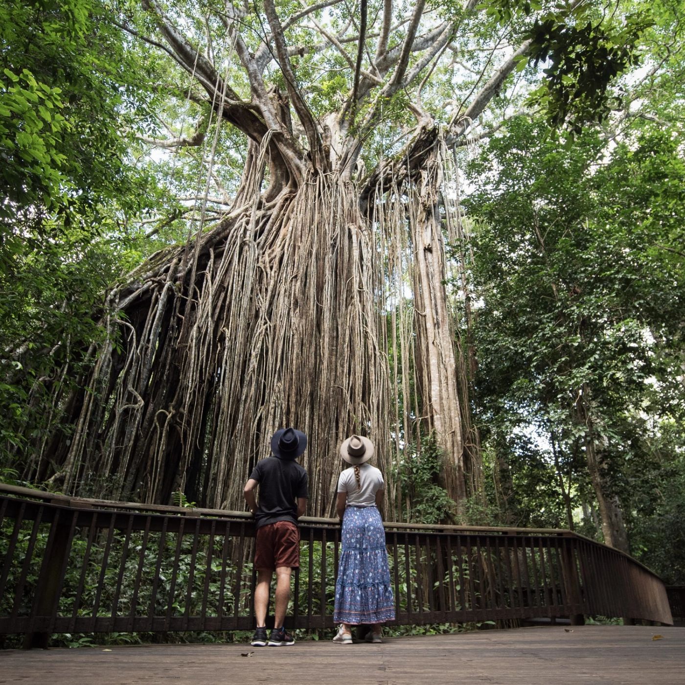 Via Travel Brisbane to Cairns Great Barrier Reef Comfort Tour - Private Single Ensuite