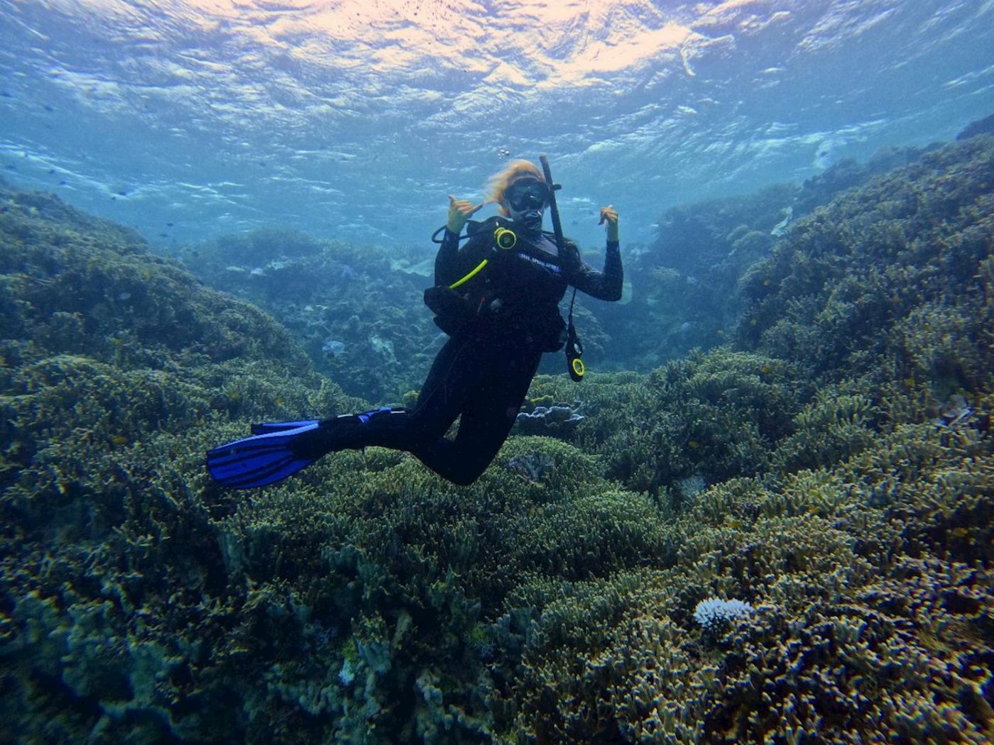 Dive Spear and Sport 1770 2 Day Reef Scuba Discovery