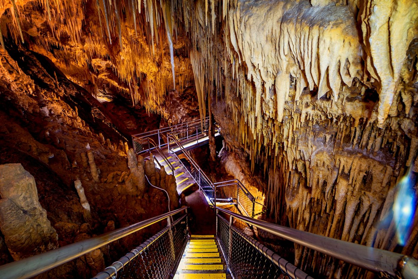 Tassie Tours Hastings cave, Tahune Airwalk and the Huon tasting trail