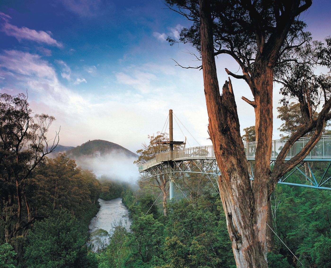 Tassie Tours Hastings cave, Tahune Airwalk and the Huon tasting trail