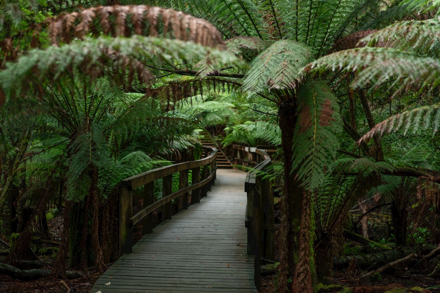 Tassie Tours Hastings cave, Tahune Airwalk and the Huon tasting trail