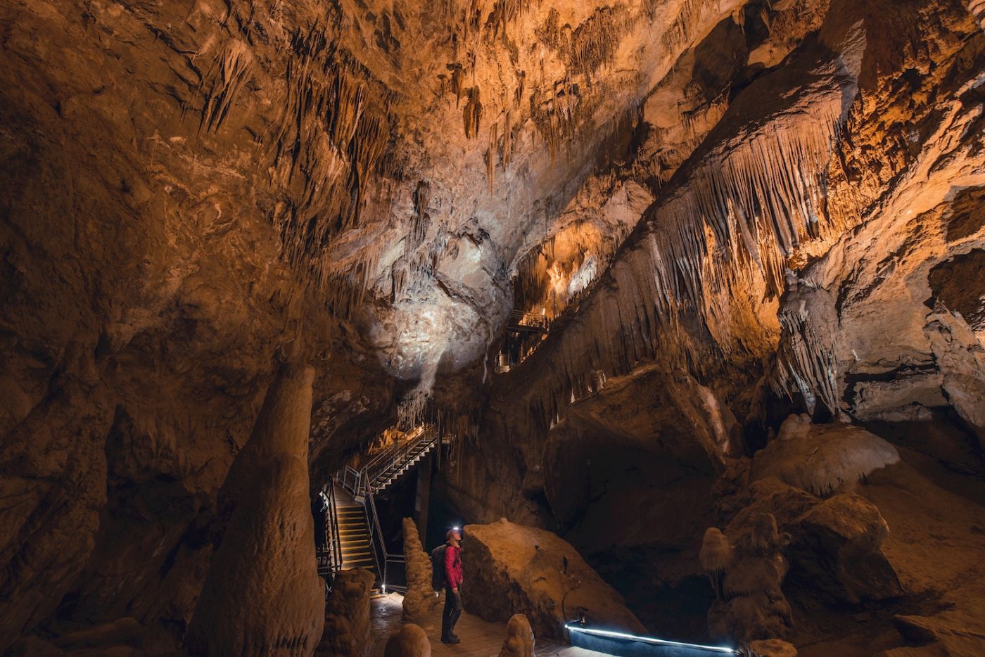 Tassie Tours Hastings cave, Tahune Airwalk and the Huon tasting trail