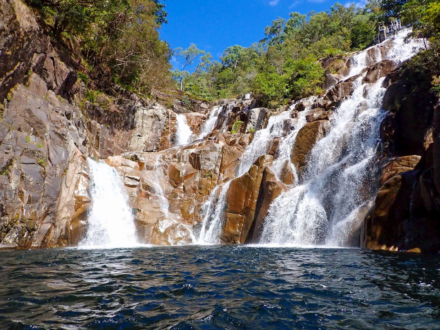 Barefoot Tours Explorer Tour - Waterfall and Rainforest Tour