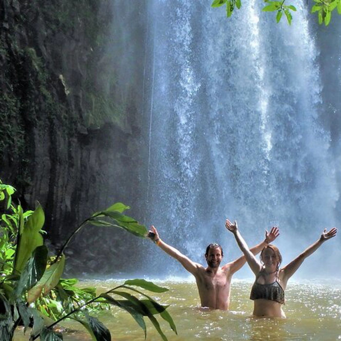 Barefoot Tours Explorer Tour - Waterfall and Rainforest Tour
