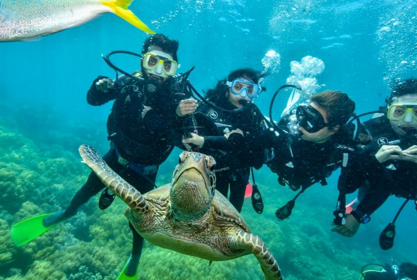 Sunlover Reef Cruises Moore Reef + Introductory Dive COMBO