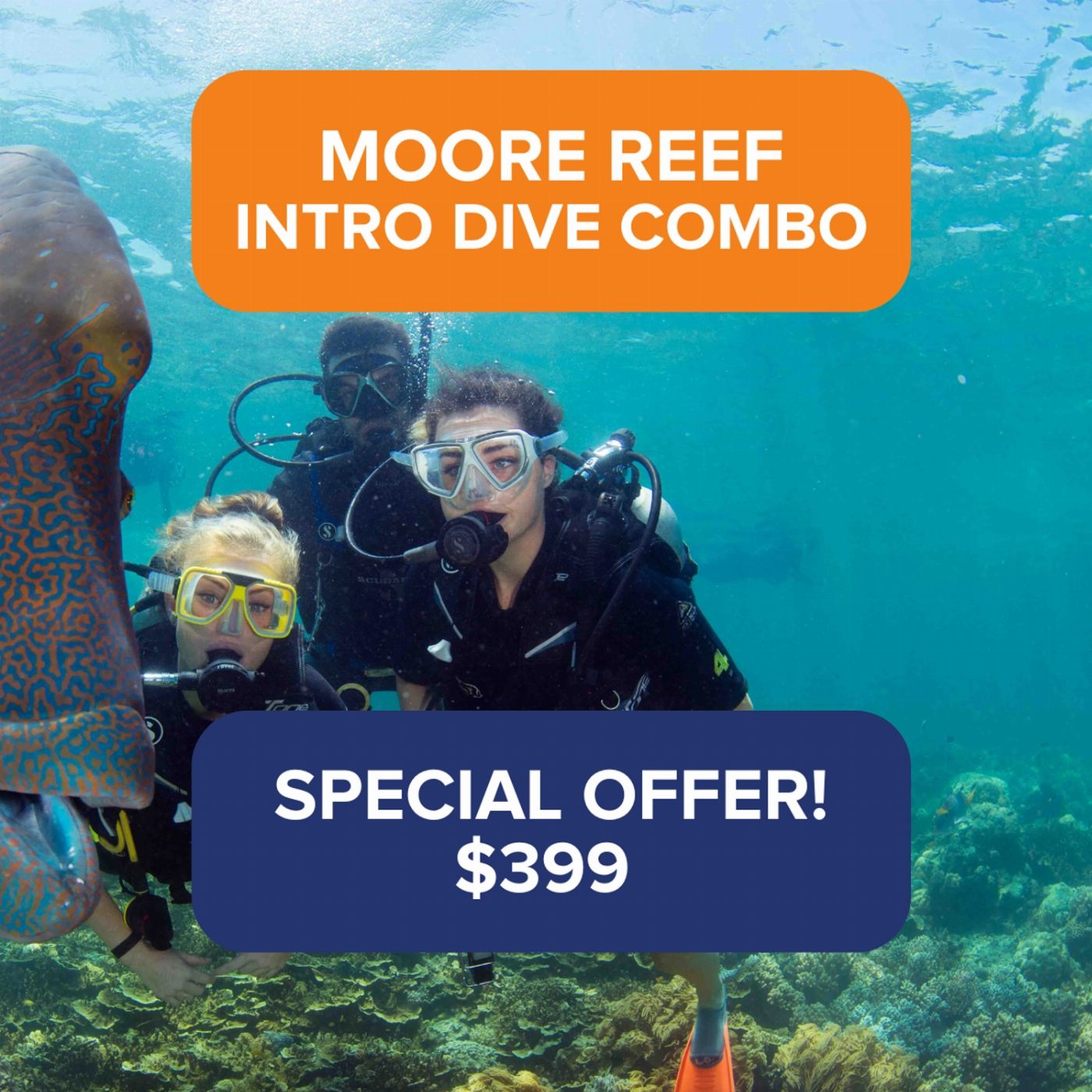Sunlover Reef Cruises Moore Reef + Introductory Dive COMBO