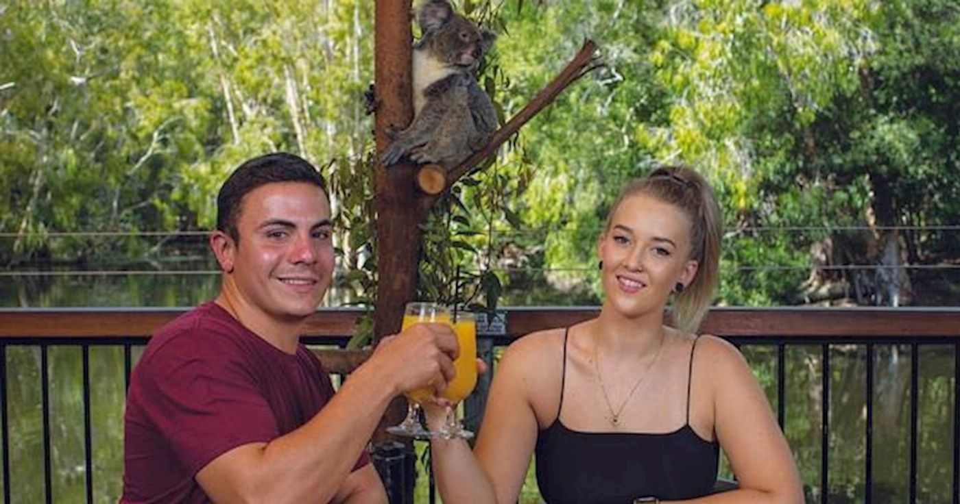 Hartley's Crocodile Adventures Breakfast with the Koalas with Return Transfers from Port Douglas