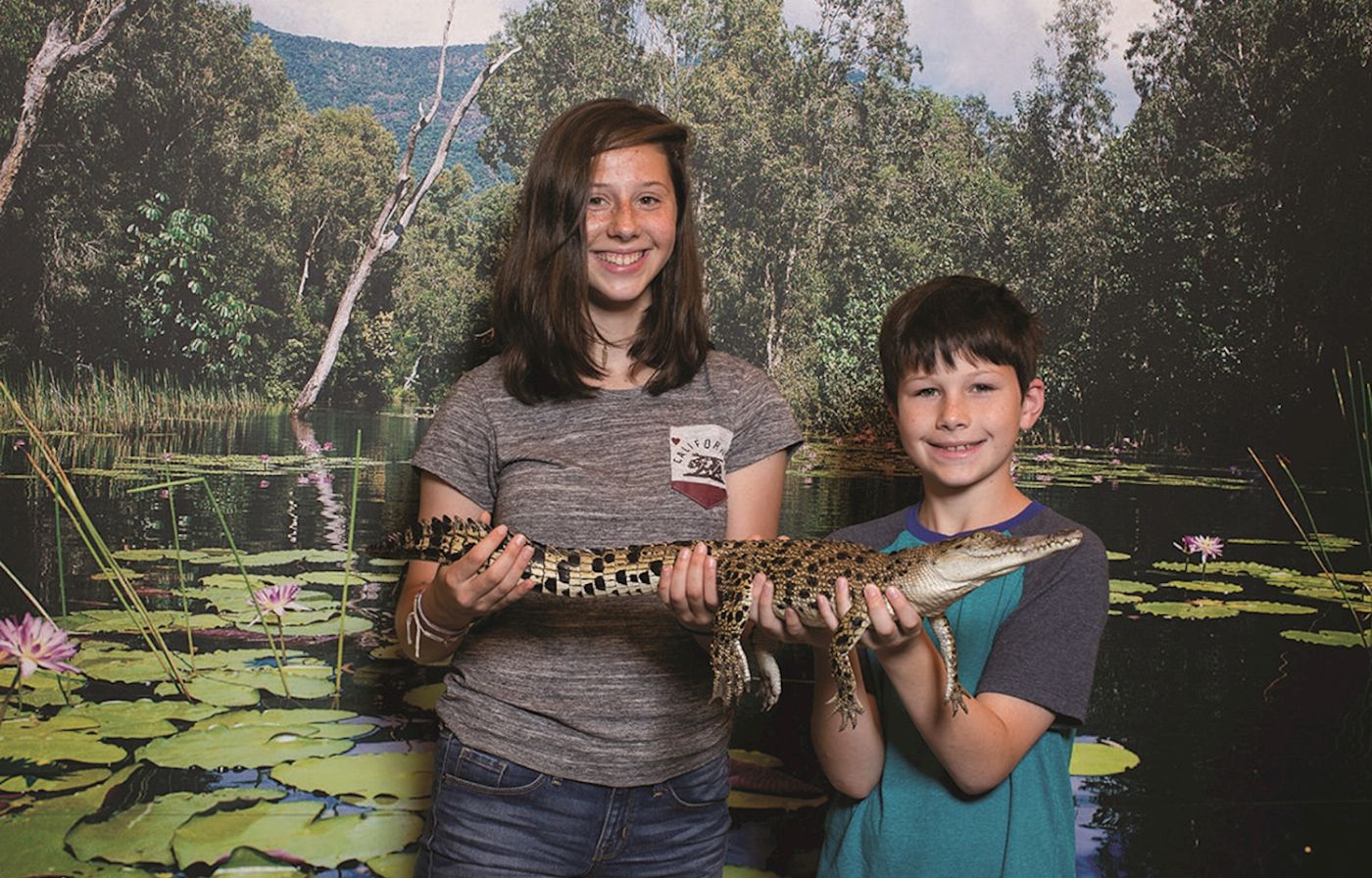 Hartley's Crocodile Adventures Reptastic 5 with Port Douglas transfers