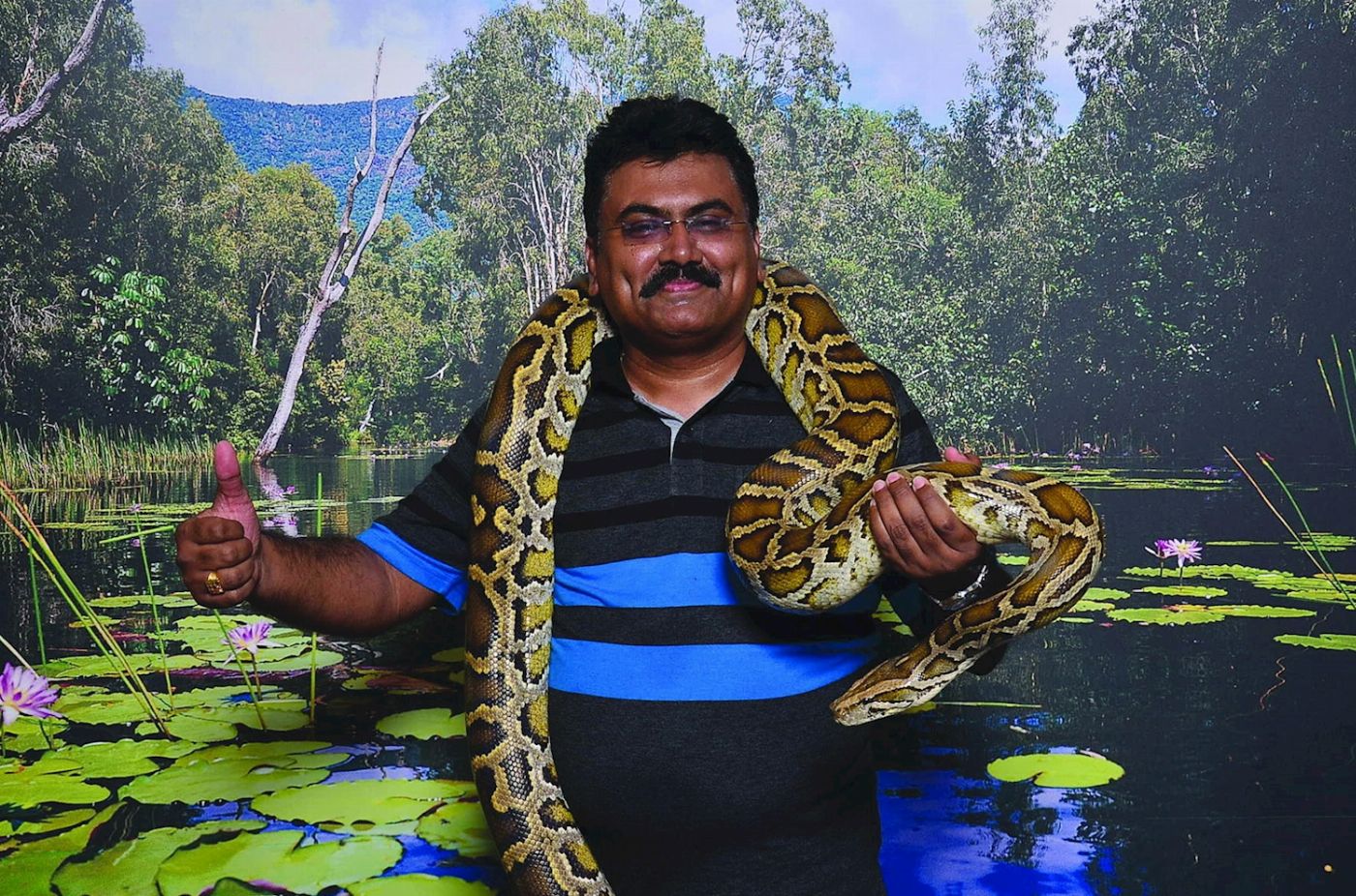 Hartley's Crocodile Adventures Reptastic 5 with Port Douglas transfers