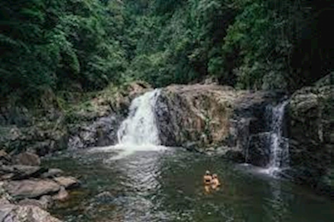 Cairns Waterfalls Explorer - Waterfall and Rainforest Tour