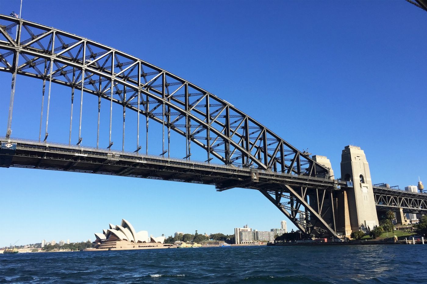Sea Sydney Harbour Sydney Harbour Highlights & Aussie Bites Catamaran Cruise