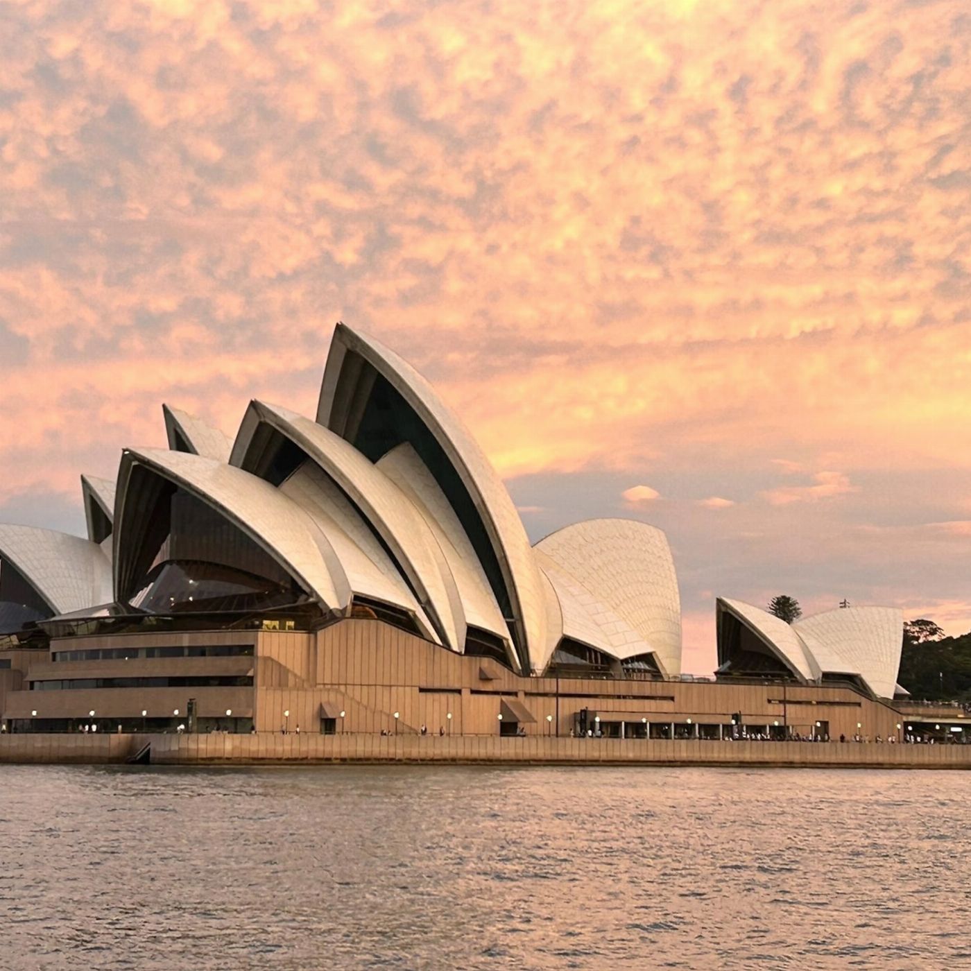 Sea Sydney Harbour Golden Glow Sunset Sydney Harbour Cruise