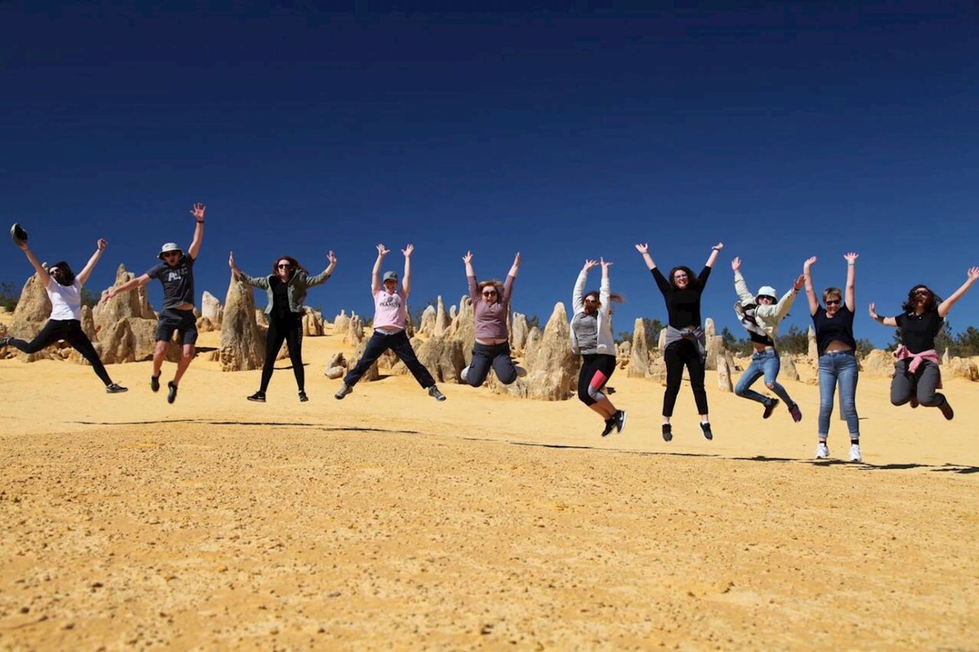 Wildlife Tours Australia Pinnacles Sunset Tour with Picnic Dinner