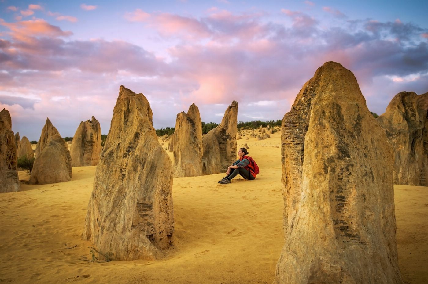 Wildlife Tours Australia Pinnacles Sunset Tour with Picnic Dinner