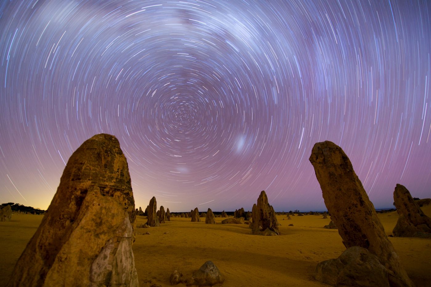 Wildlife Tours Australia Pinnacles Sunset Tour with Picnic Dinner