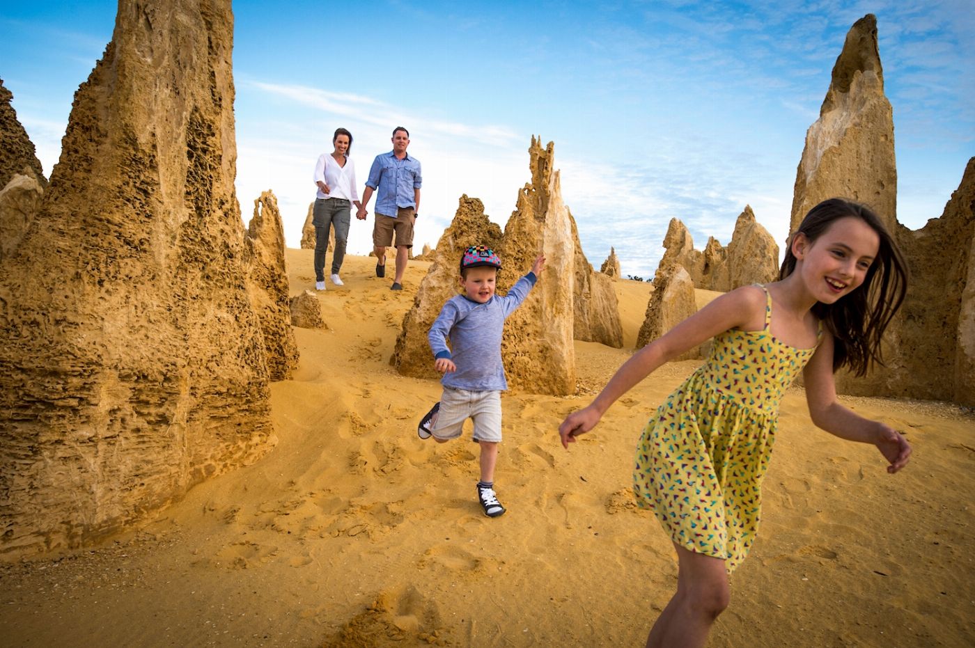 Wildlife Tours Australia Pinnacles Sunset Tour with Picnic Dinner