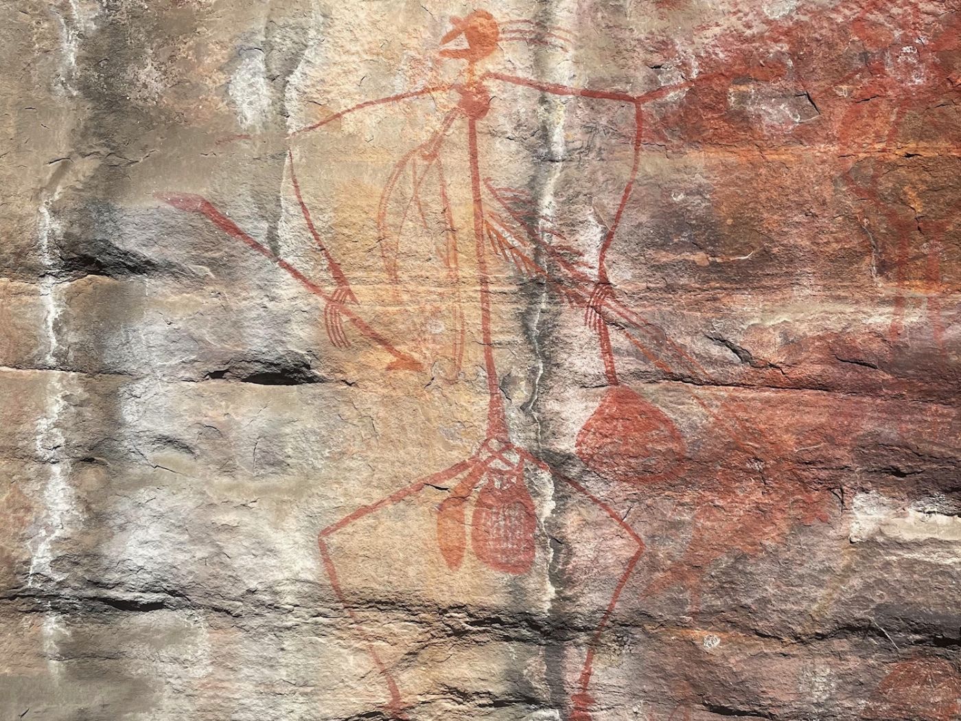 Wildlife Tours Australia Kakadu Wildlife Rock Art Tour + Wetlands