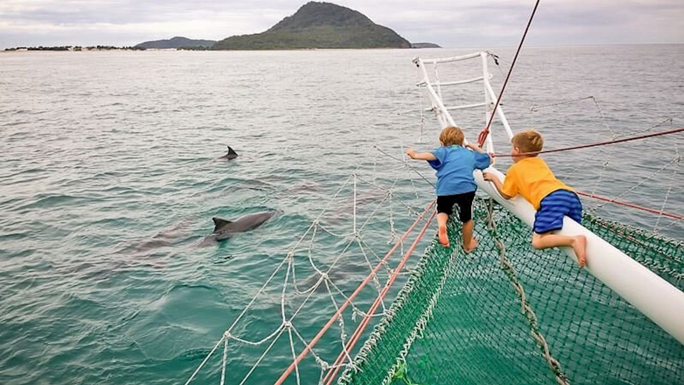 Newy Tour Co Newcastle: Animal lovers day tour