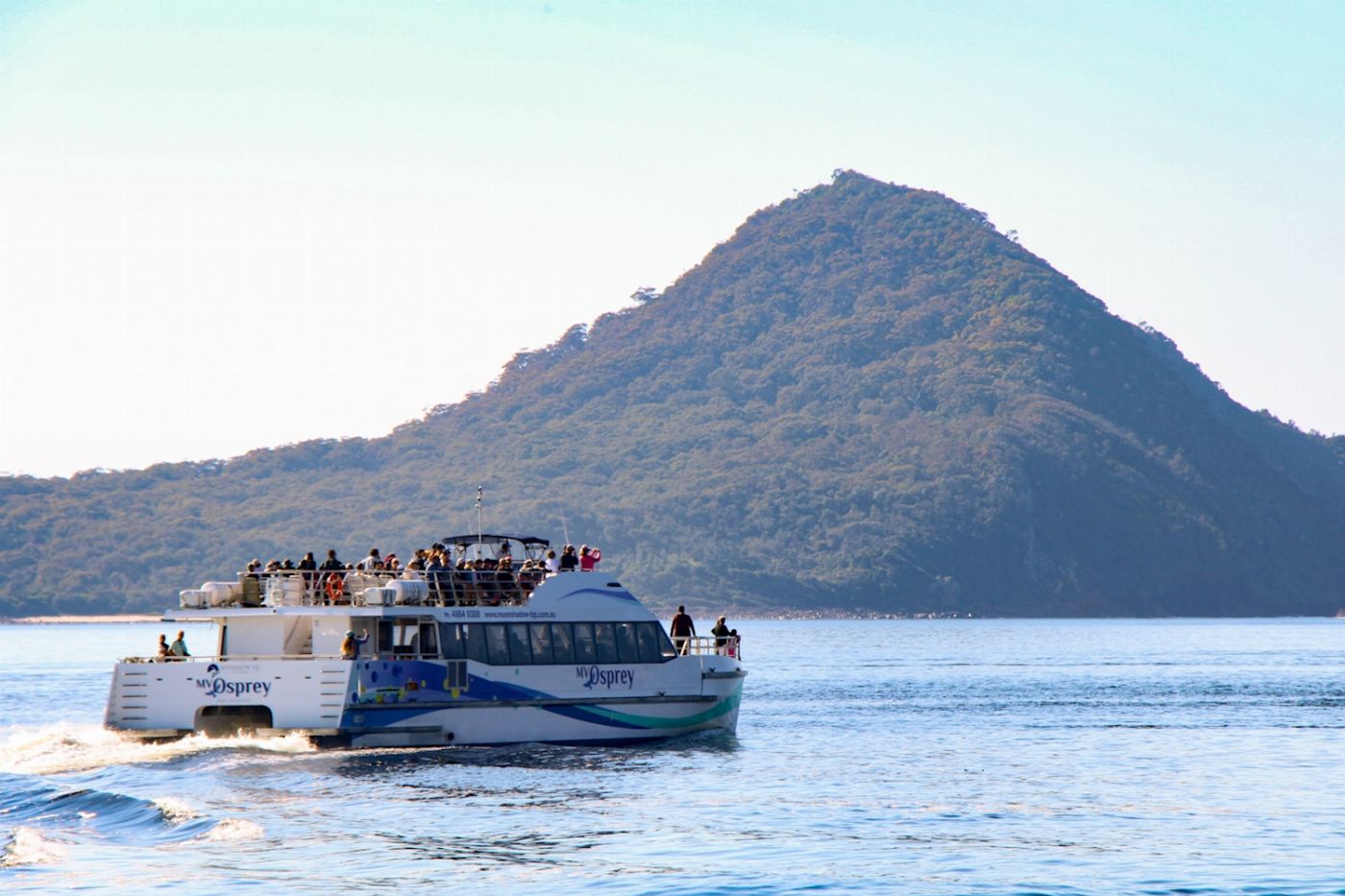 Newy Tour Co Newcastle: Animal lovers day tour