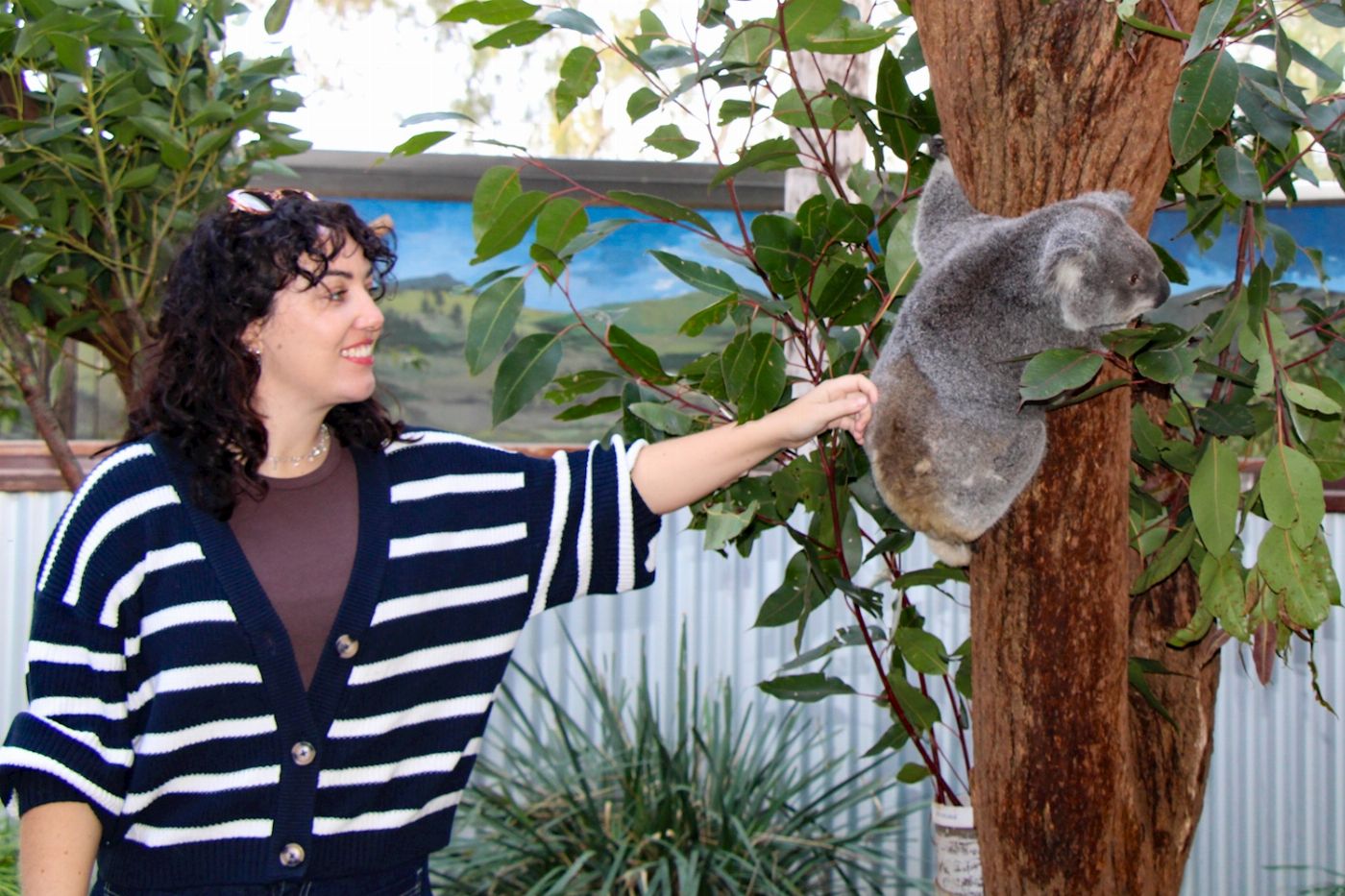 Newy Tour Co Newcastle: Animal lovers day tour