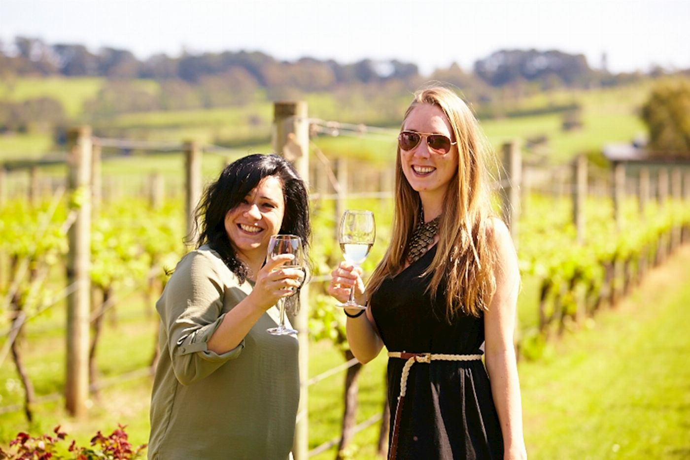 Wildlife Tours Australia Yarra Valley Wine Bubbles + Kangaroos Tour